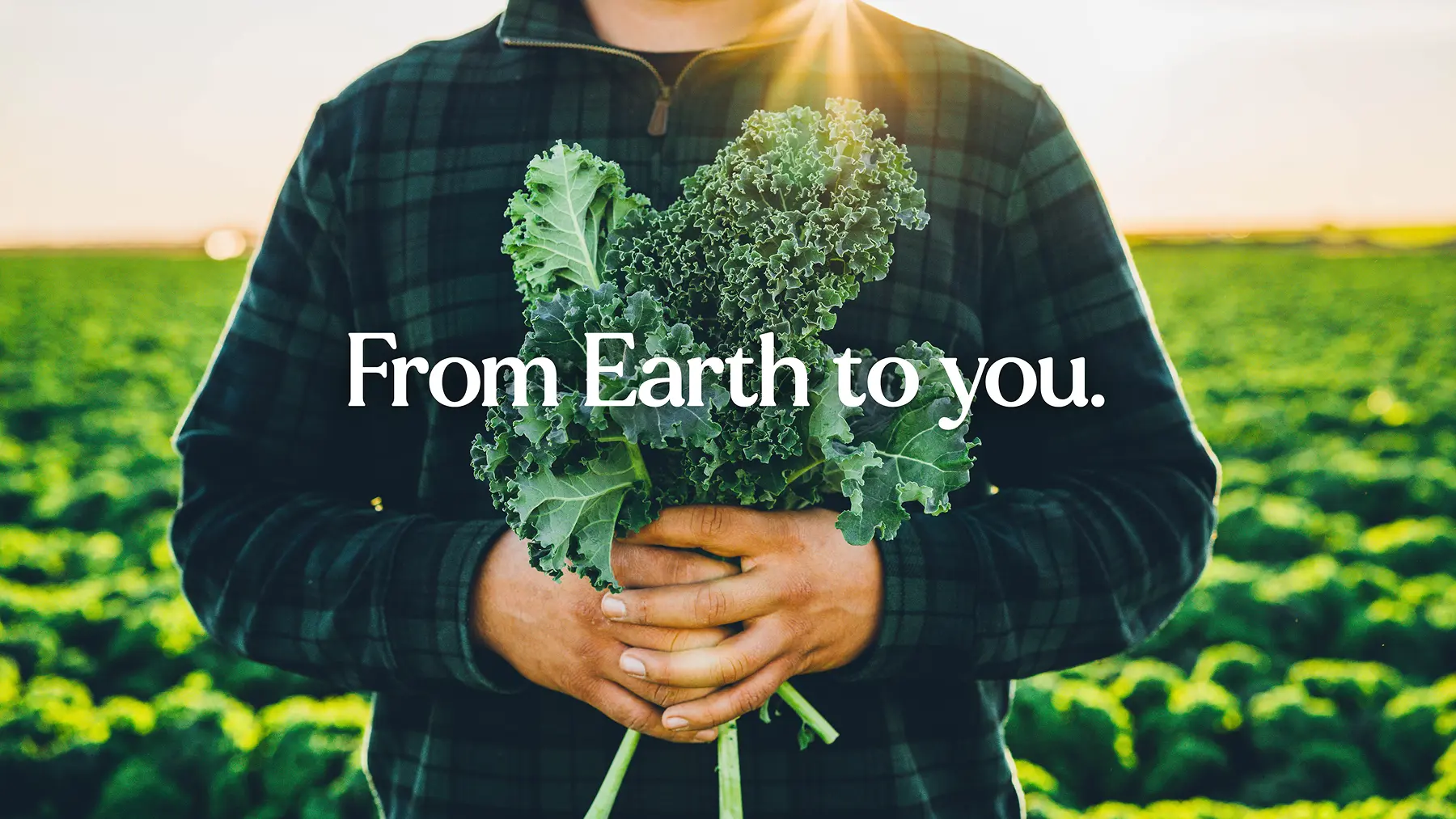 From Earth to you