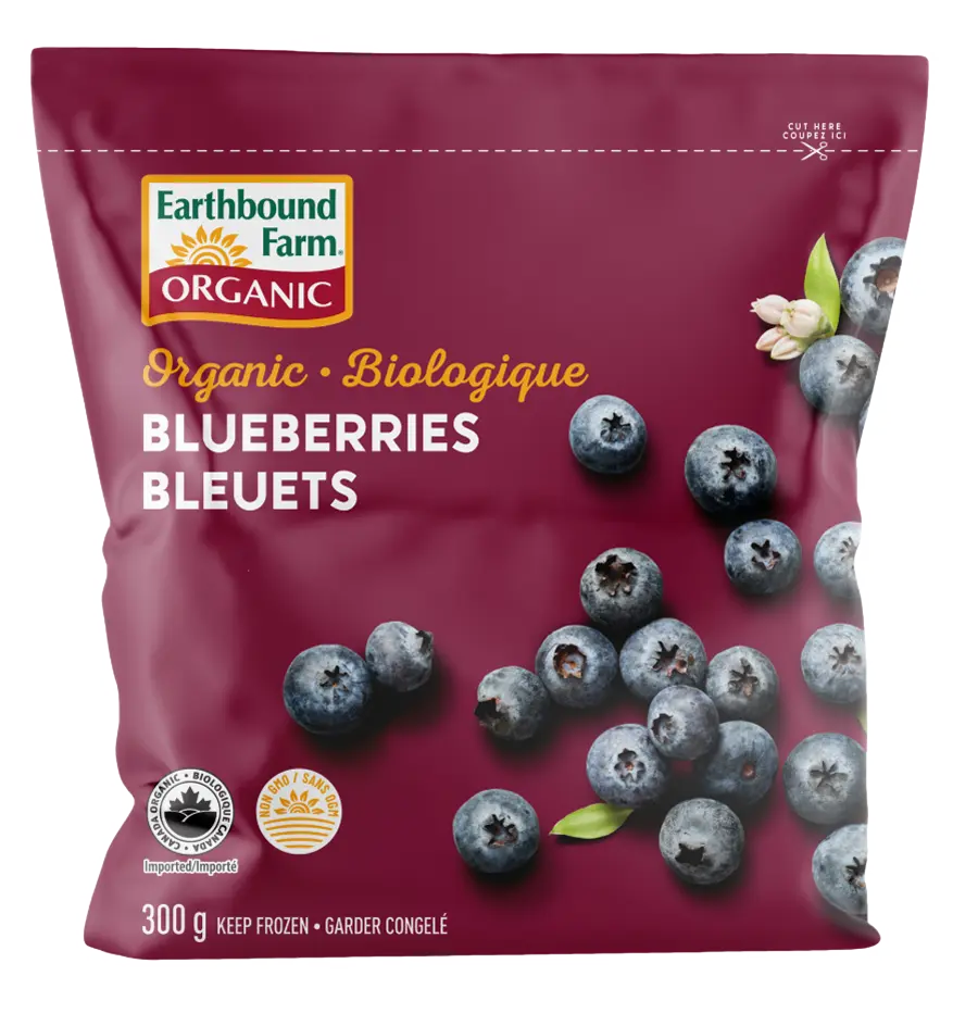 Frozen Blueberries