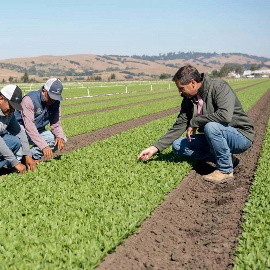 Meet Farmer Stan Pura