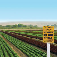 #IChooseOrganic for Chemical Reduction
