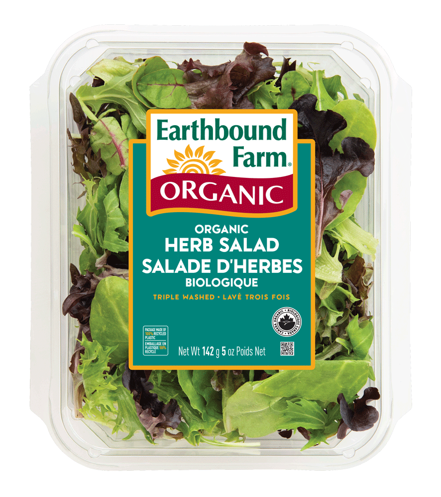 Salade D’Herbes